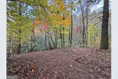 137 Faircloth Drive, Blue Ridge, GA 30513 - Photo 24