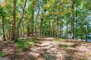 6655 Sweetwater Point, Flowery Branch, GA 30542 - Photo 66