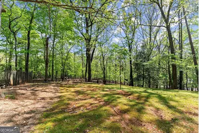 116 Savannah Terrace, Demorest, GA 30535 - Photo 34