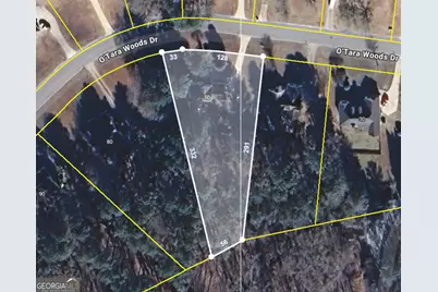 50 Otara Woods Drive, Newnan, GA 30263 - Photo 26