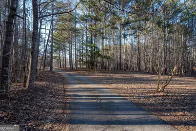 9209 W Banks Mill Road, Winston, GA 30187 - Photo 2