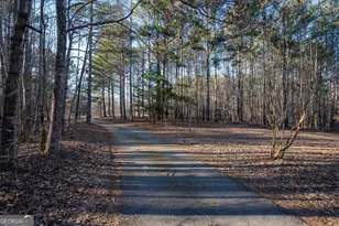 9209 W Banks Mill Rd, Winston, GA 30187 - Photo 2