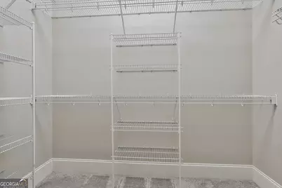 21 Lake Park Court, Sharpsburg, GA 30277 - Photo 52