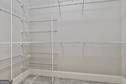 21 Lake Park Court, Sharpsburg, GA 30277 - Photo 54