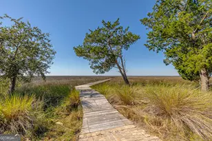 437 Mimosa Dr, Saint Simons, GA 31522 - Photo 18