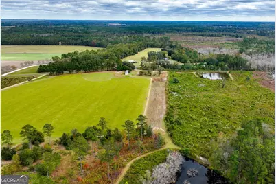 0 Hendrix Bridge Road, Claxton, GA 30417 - Photo 6