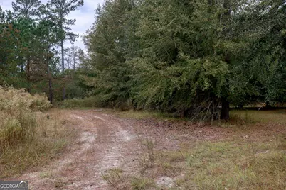 0 Hendrix Bridge Road, Claxton, GA 30417 - Photo 16