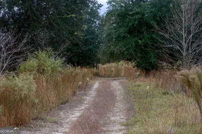 0 Hendrix Bridge Road, Claxton, GA 30417 - Photo 18