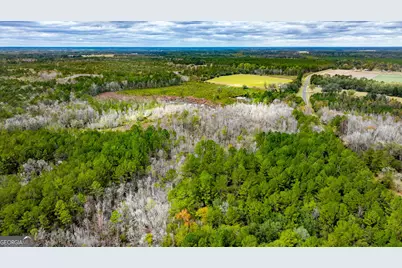 0 Hendrix Bridge Road, Claxton, GA 30417 - Photo 10