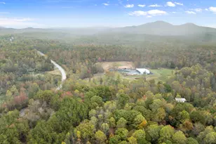 488 Hwy 75 Alt, Cleveland, GA 30528 - Photo 54