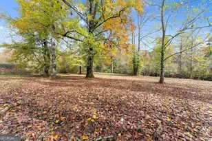 488 Hwy 75 Alt, Cleveland, GA 30528 - Photo 48