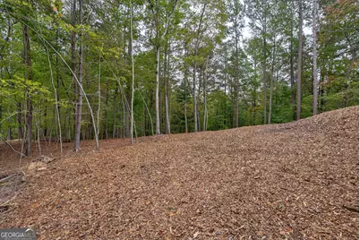 193 Haven Court #3264, Ellijay, GA 30540 - Photo 58