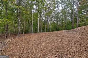 193 Haven Ct, Ellijay, GA 30540 - Photo 58