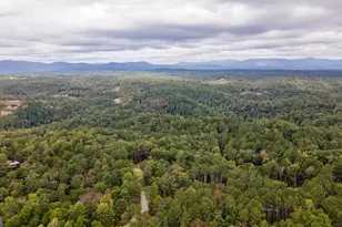 193 Haven Ct, Ellijay, GA 30540 - Photo 74