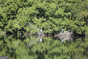 255 Carriage Station Dr, Lawrenceville, GA 30046 - Photo 60