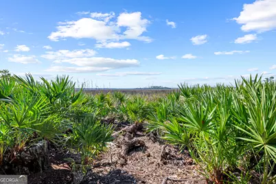 310 Osprey Circle, Saint Marys, GA 31558 - Photo 54