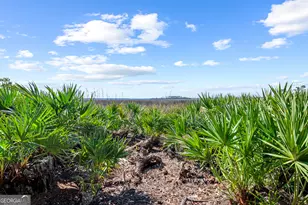 310 Osprey Cir, Saint Marys, GA 31558 - Photo 54