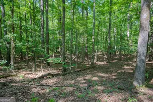 360 Darren Dr, Fayetteville, GA 30215 - Photo 48