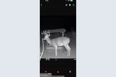 1176 E Highway 57, Twin City, GA 30471 - Photo 66