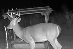 1176 E Hwy 57, Twin City, GA 30471 - Photo 66