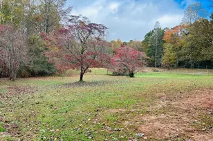 3077 Alec Mountain Rd, Clarkesville, GA 30523 - Photo 32