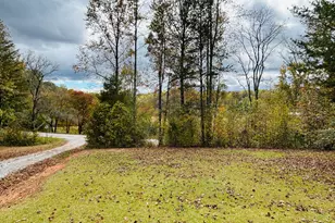 3077 Alec Mountain Rd, Clarkesville, GA 30523 - Photo 2