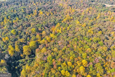 0 Rice Creek Road, Canon, GA 30520 - Photo 32