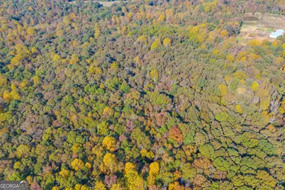 0 Rice Creek Road, Canon, GA 30520 - Photo 34