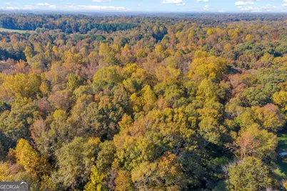 0 Rice Creek Road, Canon, GA 30520 - Photo 26