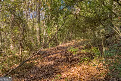 0 Rice Creek Road, Canon, GA 30520 - Photo 12