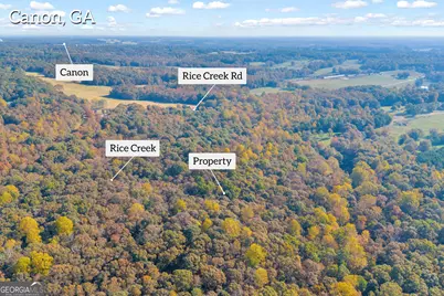 0 Rice Creek Road, Canon, GA 30520 - Photo 24