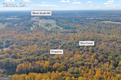 0 Rice Creek Road, Canon, GA 30520 - Photo 22