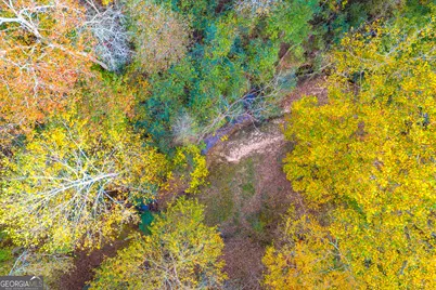 0 Rice Creek Road, Canon, GA 30520 - Photo 16