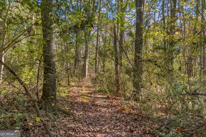 0 Rice Creek Road, Canon, GA 30520 - Photo 4