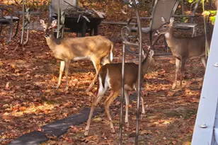 476 W Wind Dr, Villa Rica, GA 30180 - Photo 34