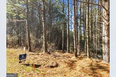 0 Foxpaw Leaf Lane #38, Ellijay, GA 30536 - Photo 4