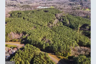 0 Foxpaw Leaf Lane #38, Ellijay, GA 30536 - Photo 6