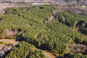 0 Fox Paw Leaf Ln, Ellijay, GA 30536 - Photo 6