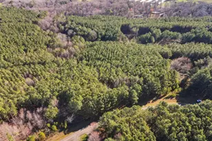 0 Fox Paw Leaf Ln, Ellijay, GA 30536 - Photo 2