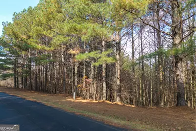 0 Foxpaw Leaf Lane #LOT 20, Ellijay, GA 30536 - Photo 20