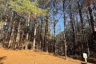 0 Fox Paw Leaf Ln, Ellijay, GA 30536 - Photo 32