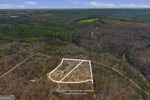 80 Beaver Run Rd, Waco, GA 30182 - Photo 8