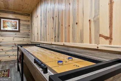 653 The Woods Road, Mineral Bluff, GA 30559 - Photo 46