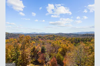 653 The Woods Road, Mineral Bluff, GA 30559 - Photo 32