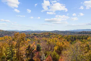 653 The Woods Rd, Mineral Bluff, GA 30559 - Photo 32