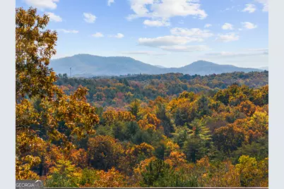 653 The Woods Road, Mineral Bluff, GA 30559 - Photo 2