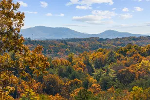 653 The Woods Rd, Mineral Bluff, GA 30559 - Photo 2