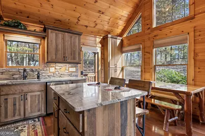 653 The Woods Road, Mineral Bluff, GA 30559 - Photo 16