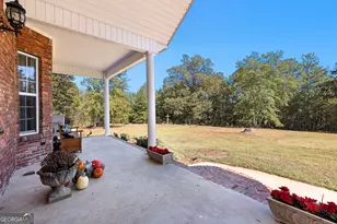 1243 US Hwy 19, Meansville, GA 30256 - Photo 10