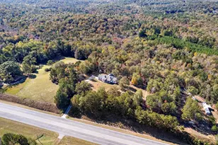 1243 US Hwy 19, Meansville, GA 30256 - Photo 2